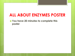 All about Enzymes Essay - PHS Pre