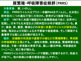 PRRS・オーエスキー病