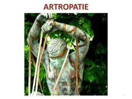 artropatie - Dott. Stefano Ciappi