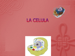 LA CELULA - OdontoAyuda