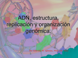 Estructura ADN UNRN Biologia 2013 - Blog de Biología Veterinaria