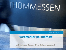 Arne Ringnes - Varemerker på Internett