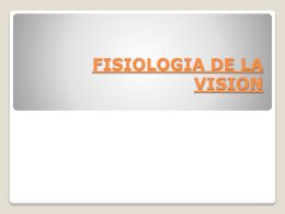 Fisiología de la vision