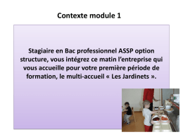 contextes professionnels » en bac pro ASSP ( format PPT)