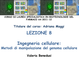 Lezione 8