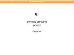 prokaryota