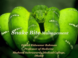 snakes_Ridwan 2012