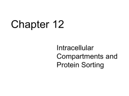 Lecture Slides 2