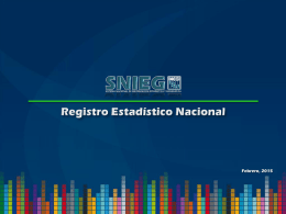 Proyecto de Registro Estadístico Nacional (REN)