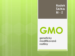 GMO rostliny