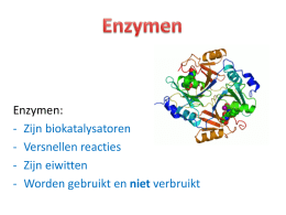PowerPoint Basisstof 3: Enzymen