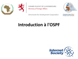 Introduction to OSPF - African Union Pages