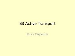 B3 Active Transport slc