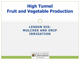 PowerPoint - University of Missouri Extension