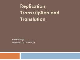 DNA replication, transcription & translation