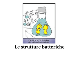 Le strutture batteriche PGN lipoproteine 12.03.2014 - e