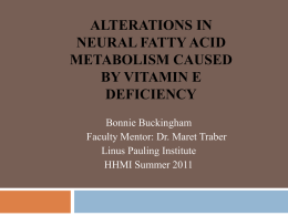 Alterations in Neural Fatty Acid Metabolism caused by Vitamin E