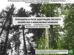 Принципы и пути адаптации лесного хозяйства к изменению