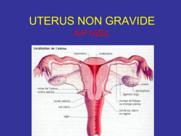 p&eacute;ritoine ut&eacute;rin