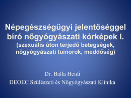 2013. szeptember 10. - Dr. Balla Heidi