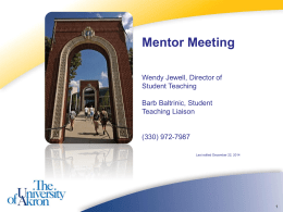 Online mentor training module