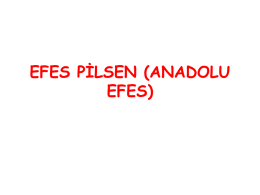 EFES PİLSEN (ANADOLU EFES)