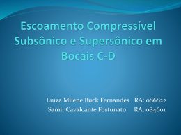 Escoamento Compressivel Subsonico e Supersonico em