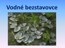 Vodne_bezstavovce