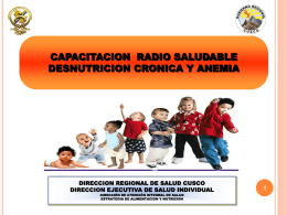 Taller LRS 2014, Cusco (RCR) – Desnutricion cronica y anemia