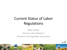 Current Status of Labor Regulations