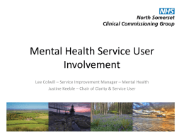 Mental Health Service User Involvement in North Somerset