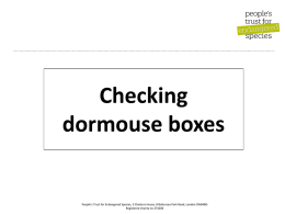 Checking dormouse boxes ppt - Peoples Trust for Endangered