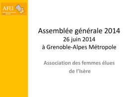 Assemblée Générale AFEI 2014