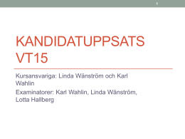 Kandidatuppsats VT14