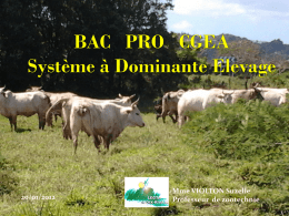 BAC PRO CGEA système à dominante élevage