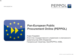 (PEPPOL) (rus) Pan-European Public Procurement Online
