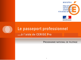 Passeport professionnel sur Cerise Pro