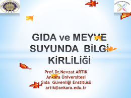 Prof. Dr. Nevzat Artık