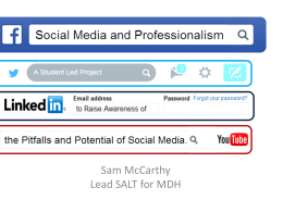 S McCarthy Social Media and Professionalism