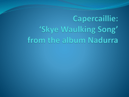 Skye Waulking Song* from the album Nadurra