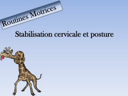 Stabilisation _ cervicale et posture