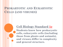 Eukaryotic and Prokaryotic Cells (and viruses)