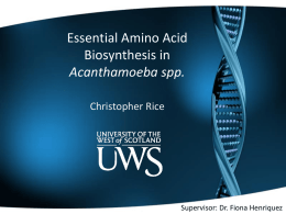 Essential Amino Acid Biosynthesis in Acanthamoeba spp.