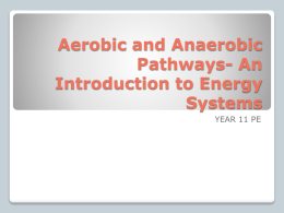 Aerobic and Anaerobic Pathways- An Introduction to Energy Systems
