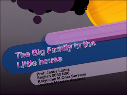 The Big Family in the Little house