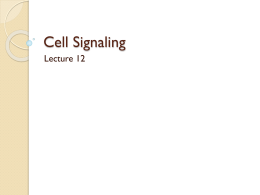 Lecture 12 - Lectures For UG-5