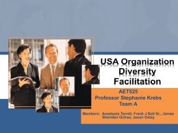 USA Organization Diversity Facilitation