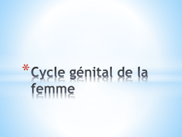 Cycle génital de la femme Les ovaires