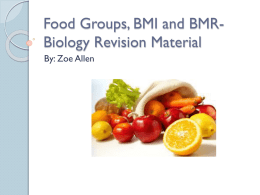 Food Groups, BMI and BMR- Biology Revision Material