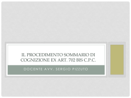 Il procedimento sommario di cognizione ex art. 702 bis c.p.c.